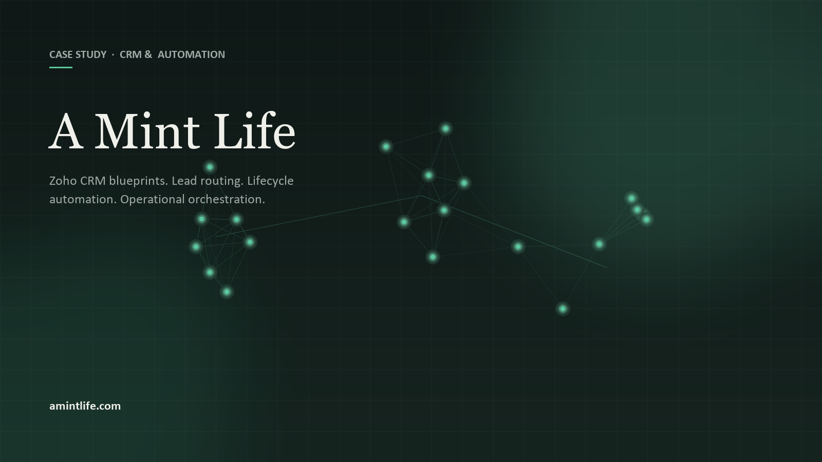 A Mint Life — CRM and lifecycle automation